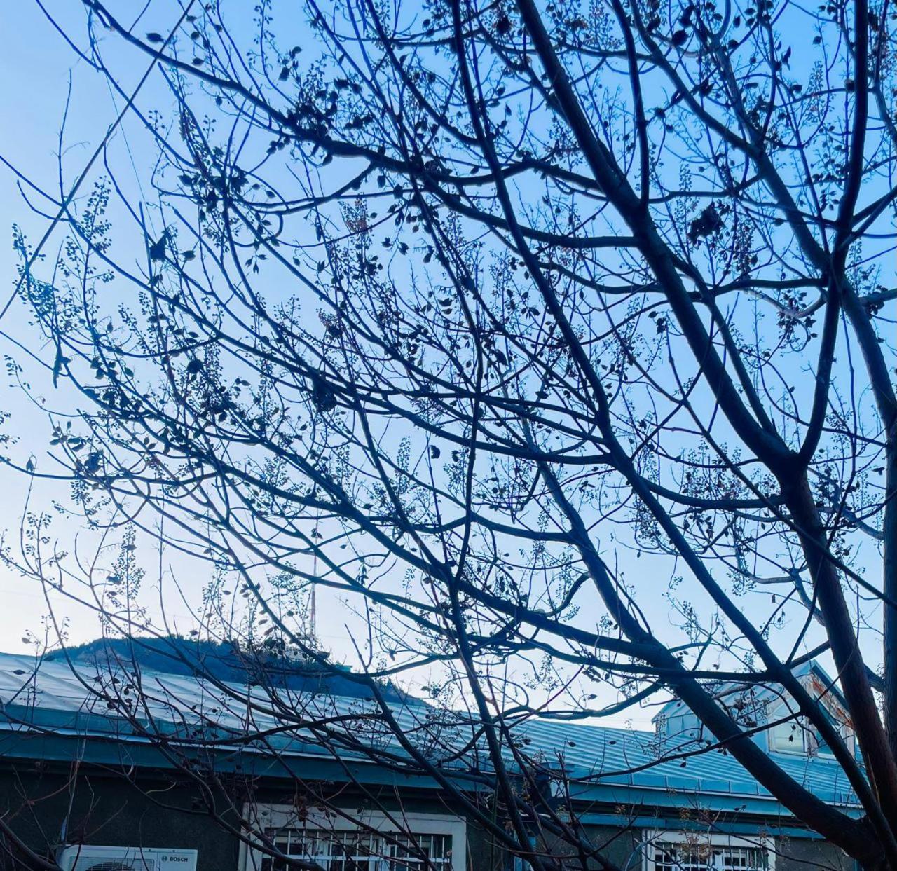 Art Hotel Tabidze Tiflis Dış mekan fotoğraf